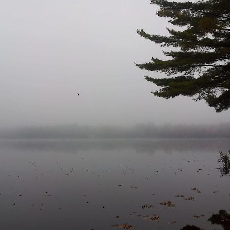 Black Lake Cabins Torrance Екстер'єр фото