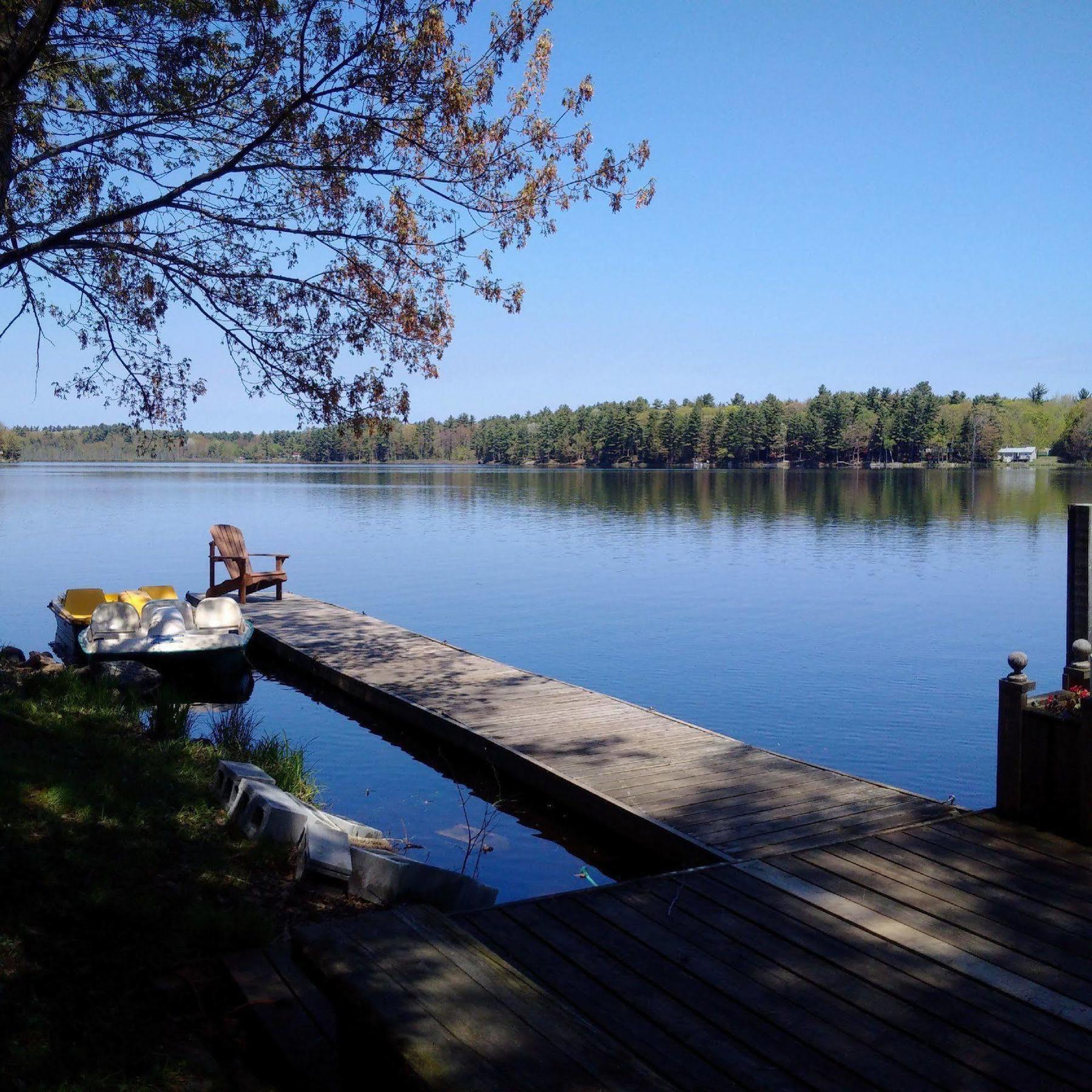 Black Lake Cabins Torrance Екстер'єр фото